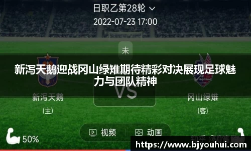 新泻天鹅迎战冈山绿雉期待精彩对决展现足球魅力与团队精神